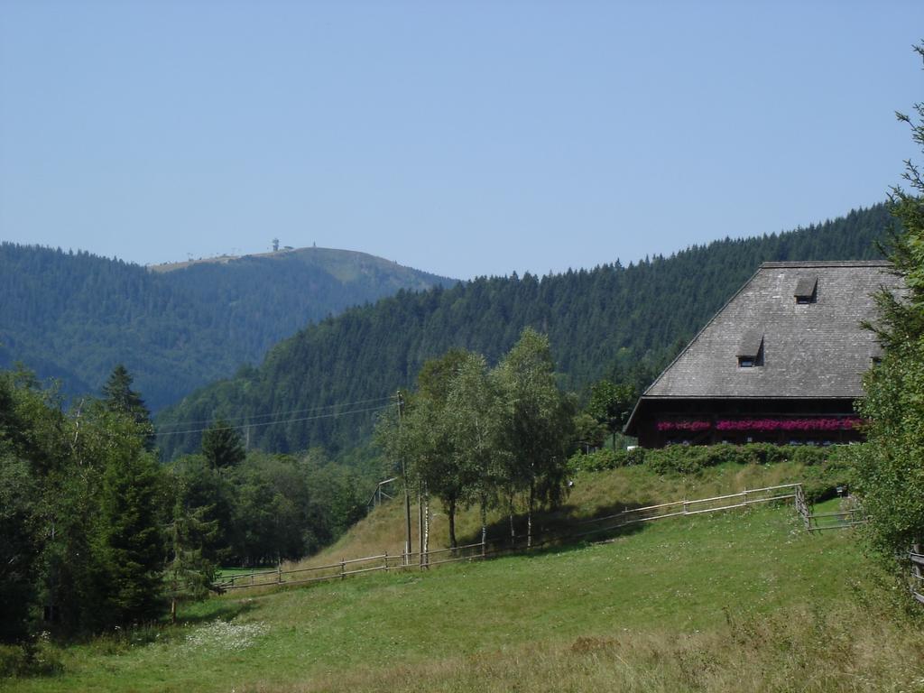 Hotel Restaurant Peterle Feldberg  Exterior photo